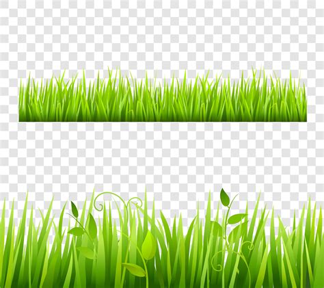 Download 548+ Grass Border SVG Cameo